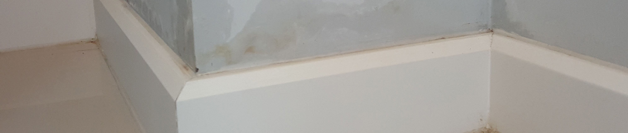 Photo of Damp Proofing