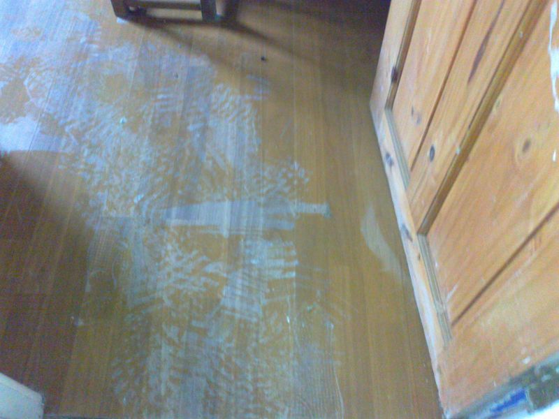 Dry rot spores covering the floor surface: Swipe To View More Images