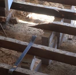 Extensive Woodworm (Anobium punctatum) infestation - whole of the floor needed replacing: Click Here To View Larger Image